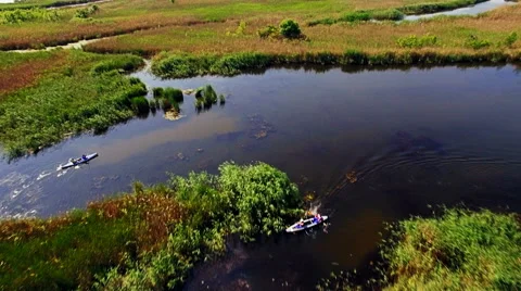 Kayaking on the river between the reeds Stock Footage 64352798