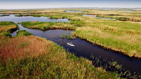 Kayaking on the river between the reeds Stock Footage 64360802