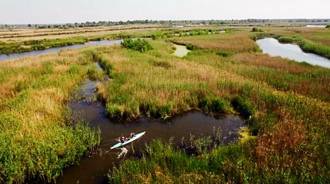 Kayaking on the river between the reeds Stock Footage 64361920