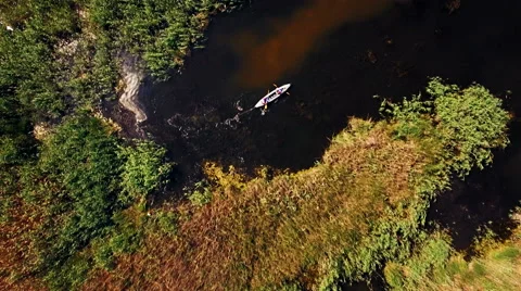 Kayaking on the river between the reeds Stock Footage 64363323