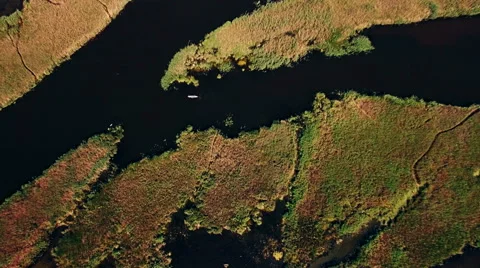 Kayaking on the river between the reeds Stock Footage 64364948