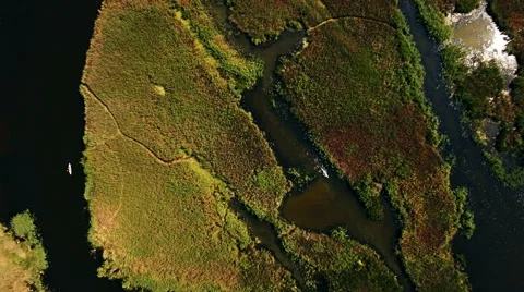 Kayaking on the river between the reeds Stock Footage 64365546