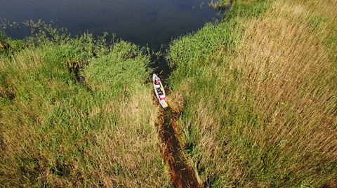 Kayaking on the river between the reeds Stock Footage 64367031