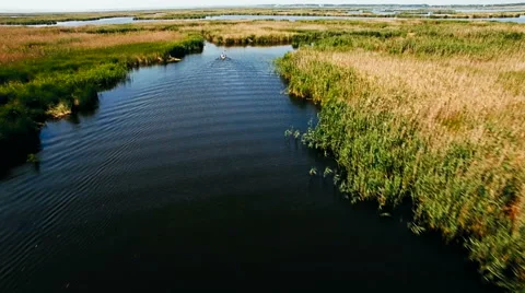 Kayaking on the river between the reeds Stock Footage 64514103