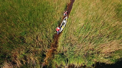 Kayaking on the river between the reeds Stock Footage 64514991