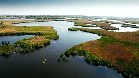 Kayaking on the river between the reeds Stock Footage 64515114