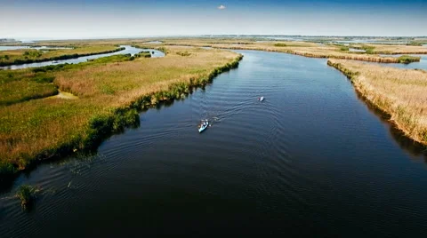 Kayaking on the river between the reeds Stock Footage 64516837