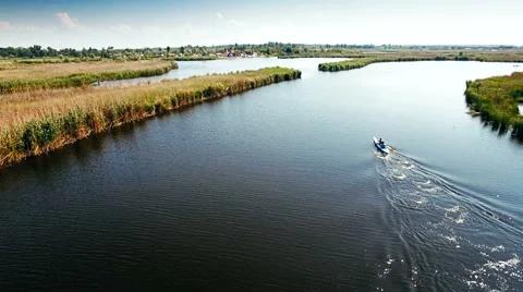 Kayaking on the river between the reeds Stock Footage 64518122