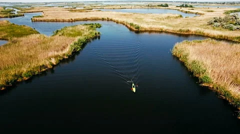 Kayaking on the river between the reeds Stock Footage 64518719