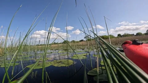 Kayaking on the River Corrib Stock Footage 243594337