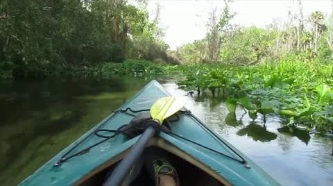 Kayaking river Video stock 21221312