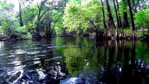 Kayaking Santa Fe River Off The Trail Stock Footage 90180518