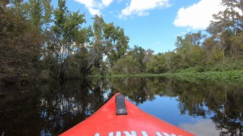 Kayaking on small jungle river Stock Footage 118390105