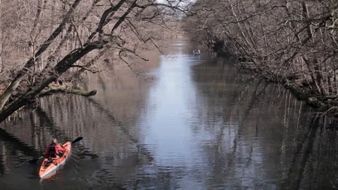 Kayaking on small river through a forest Video stock 129729925