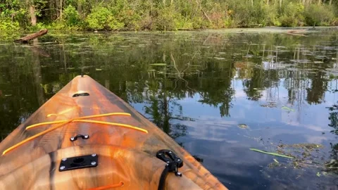 Kayaking on still creek 2 Stock Footage 160132398