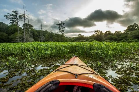 Kayaking at Sunset Foto stock