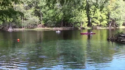 Kayaking on the Suwannee River, Florida Stock Footage 69147926