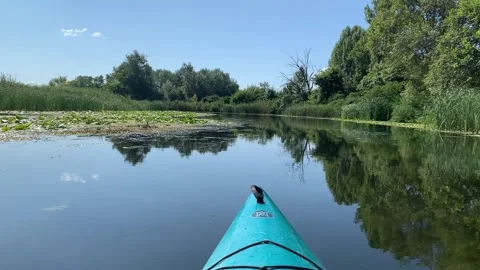 Kayaking through a calm river surrounded by lush green vegetation on a bright Vidéo 345662986
