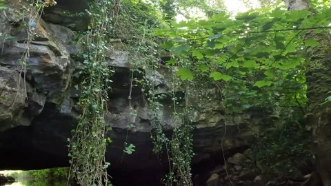 Kayaking through Greenery into Cave Stock Footage 243594268