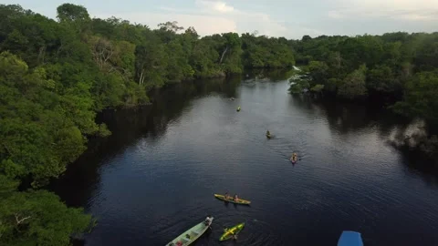 Kayaking Through the Igarapés of the Negro River in the Amazon Stock Footage 342568502