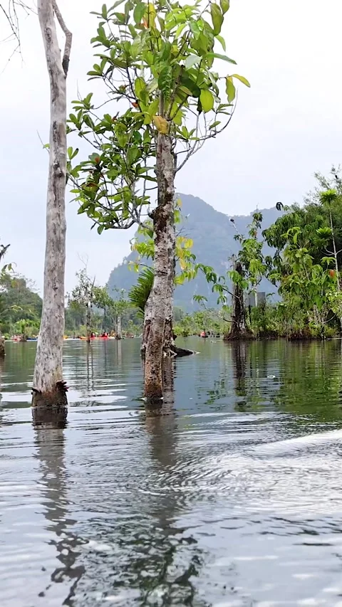 Kayaking Through Krabi's Clear Waters 库存影片 305015231