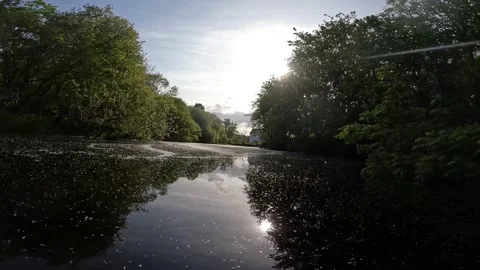 Kayaking through a river covered in Dandelion Seeds Stock Footage 243595486