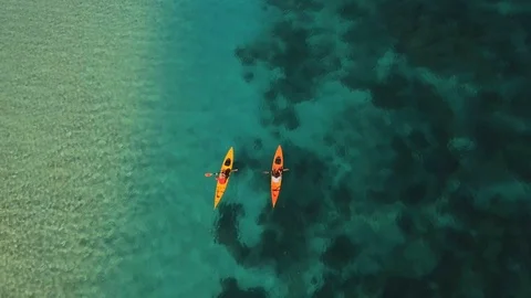 Kayaking tourists in Monkey Mia Stock Footage 89588762