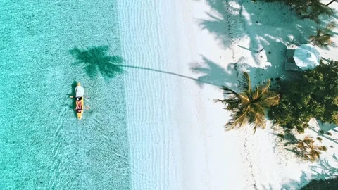 Kayaking under the palmtree in the maldives Stock Footage 247917981