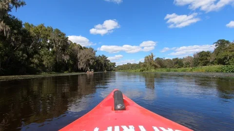 Kayaking on Wekiva River Stock Footage 118390086