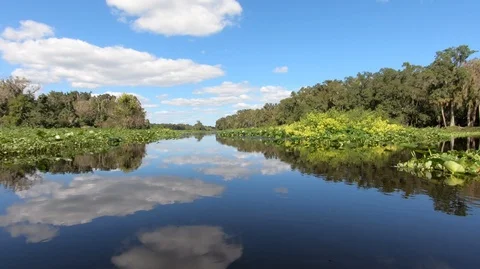 Kayaking on Wekiva River Stock Footage 118401854