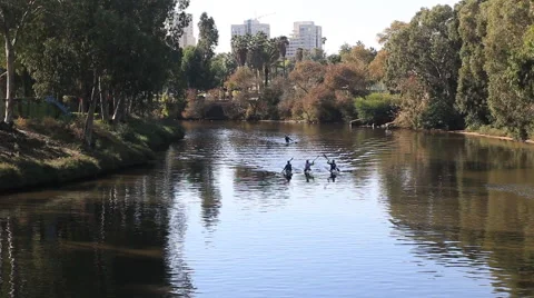 Kayaks float on the river yarkon .tel aviv. israel Stock Footage 43012778