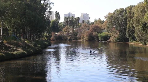Kayaks float on the river yarkon .tel aviv. israel Stock Footage 43013496