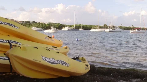 Kayaks for rental Stock Footage 88225960