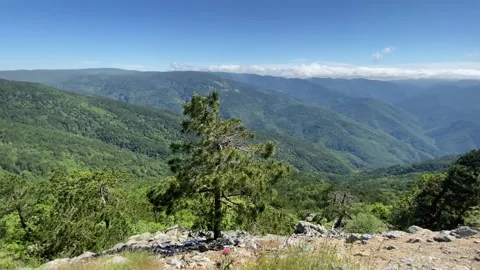 Kaz Mountains in Turkey Stock Footage 246507146