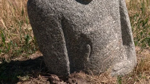 Kazak4 Stock Footage 137254521