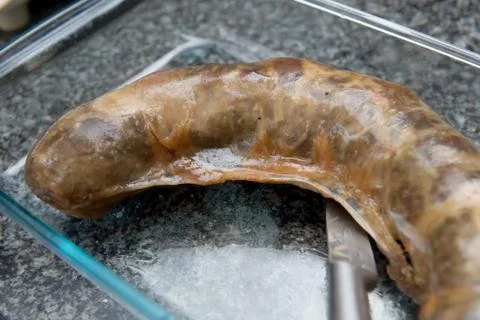 Kazakh sausage Kazi Stock Photos