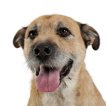  KCS9618 Stock Photos