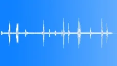 Kea CU Calls Sound Effect