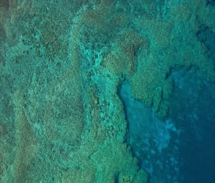 Kealakekua Coastline Vídeo Stock 22692772