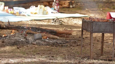 Kebab prepares Stock Footage 24568546