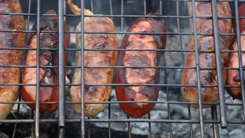 Kebabs on the grill in nature. Stock Footage 265199901
