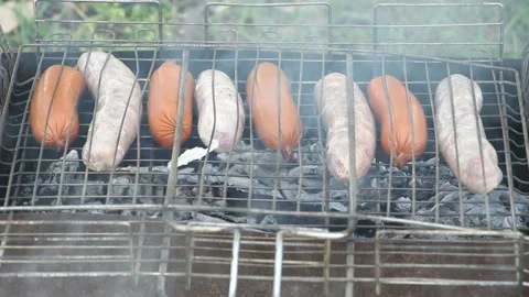 Kebabs on the grill in nature Stock Footage 265199929