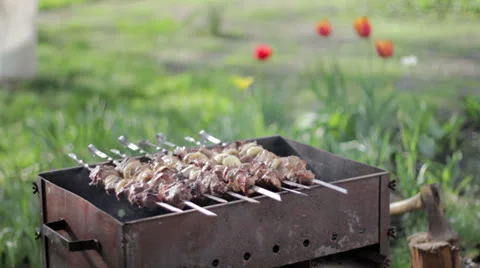 Kebabs on the grill outdoors Stock Footage 26630951