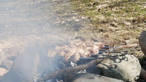 Kebabs on the grill in smoke Stock Footage 154297738
