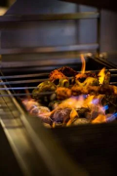 Kebabs Over the Fire Stock Photos