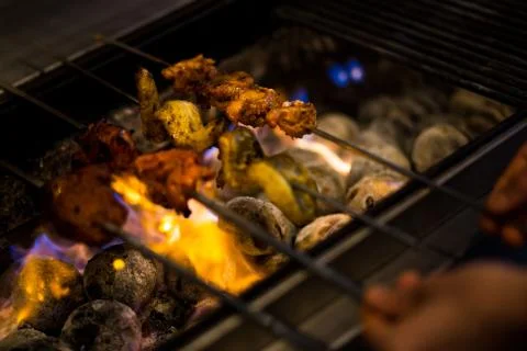 Kebabs Over the Fire Stock Photos