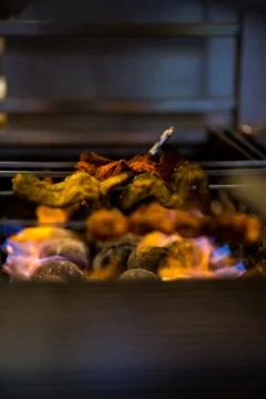 Kebabs Over the Fire Stock Photos
