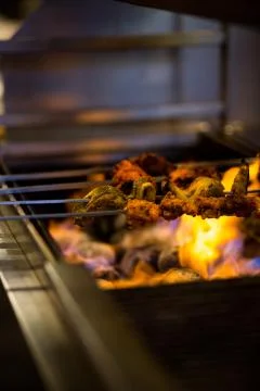 Kebabs Over the Fire Stock Photos