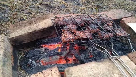 Kebabs in the village at the stake Stock Footage 153647057