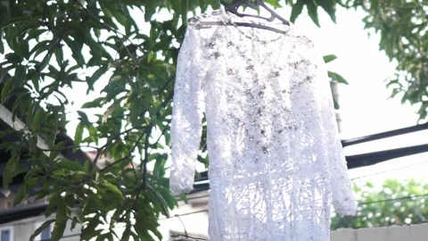 Kebaya clothes dried in the sun on tree branches Stock Footage 275815388